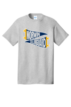 Norwin Guard - 2 Pennants